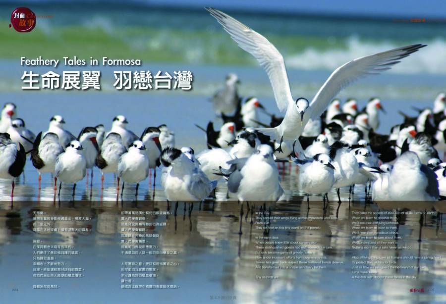 Wings of Life Over Taiwan
